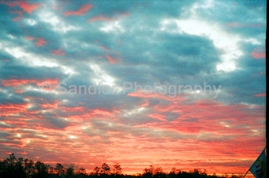 http://www.sandlerphotography.com/Photos/06920001 - 2 -LR.JPG